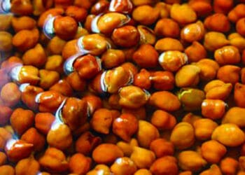 সকালে খালি পেটে কাঁচা ছোলা খেলে কী ঘটে শরীরে?