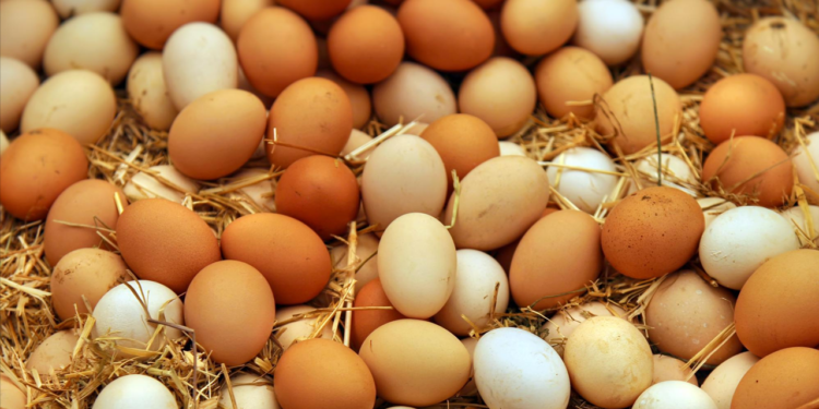 যেসব খাবারের সঙ্গে ডিম খাওয়া যায় না