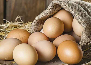 বিশ্ব ডিম দিবস আজ