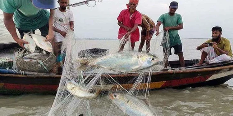 ইলিশ ধরায় ২২ দিনের নিষেধাজ্ঞা শুরু