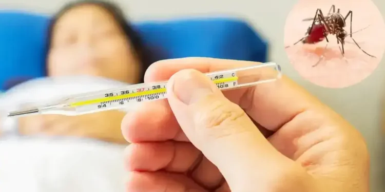 বরিশালে ডেঙ্গুতে মৃত্যু বেড়ে ৩৫, আক্রান্ত সাড়ে ১৫ হাজার