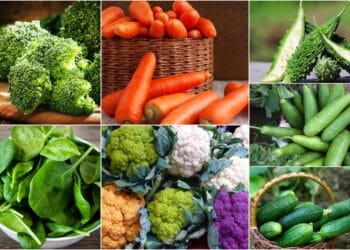 ওজন কমাতে খেতে হবে যেসব সহজলভ্য সবজি