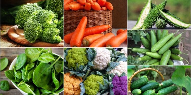 ওজন কমাতে খেতে হবে যেসব সহজলভ্য সবজি