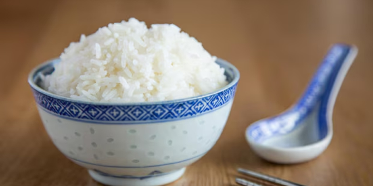 ফ্রিজে রাখা ভাত কি স্বাস্থ্যকর? যা বলছেন  বিশেষজ্ঞরা