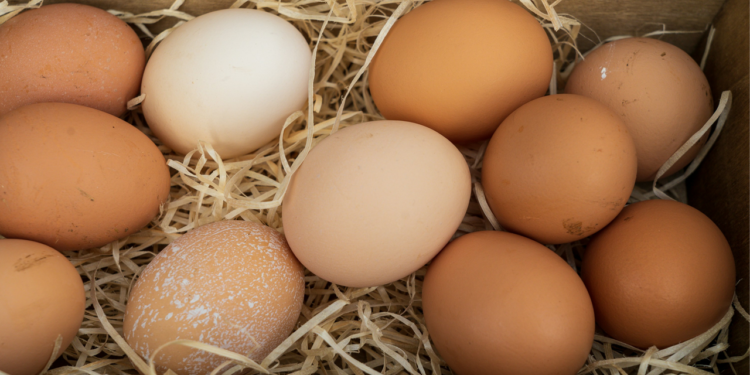 টানা ৩০ দিন ডিম খেলে শরীরে অবিশ্বাস্য যে ৫ পরিবর্তন আসে