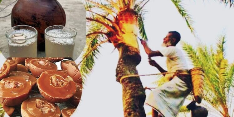 যশোরজুড়ে খেজুর রসের ব্যস্ততা, গুড়ের বাণিজ্যে সম্ভাবনা একশো কোটি টাকা