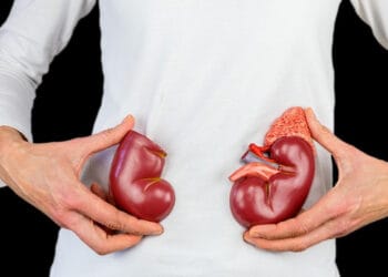 কিডনি রোগীর জন্য দুপুরের ৪ স্বাস্থ্যকর খাবার