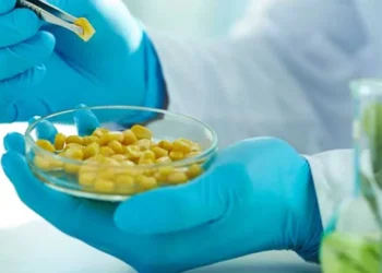 দেশের পুষ্টি নিরাপত্তা নিশ্চিতে নতুন প্ল্যাটফর্ম স্থাপনের উদ্যোগ