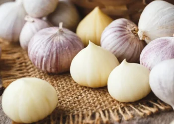 দাসদের খাবার থেকে রাজকীয় রান্নায়, কতটা উপকারী এই ছোট্ট সাদা কোয়া?