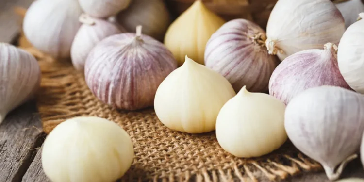 দাসদের খাবার থেকে রাজকীয় রান্নায়, কতটা উপকারী এই ছোট্ট সাদা কোয়া?