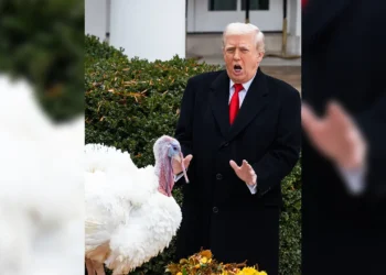 ট্রাম্পের মহানুভবতা, ক্ষমা পেল দুই টার্কি মুরগি