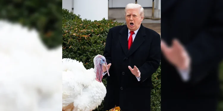 ট্রাম্পের মহানুভবতা, ক্ষমা পেল দুই টার্কি মুরগি