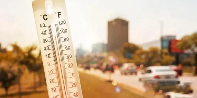 ইতিহাসের অন্যতম উষ্ণ বছর হতে যাচ্ছে ২০২৫ সাল