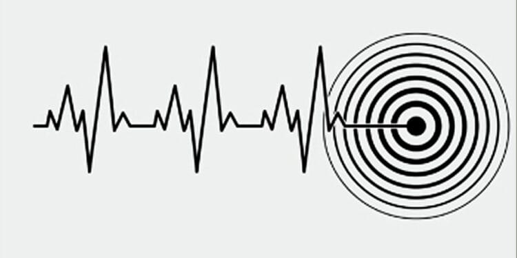 ২৪ ঘণ্টায় ৯১ ভূমিকম্প