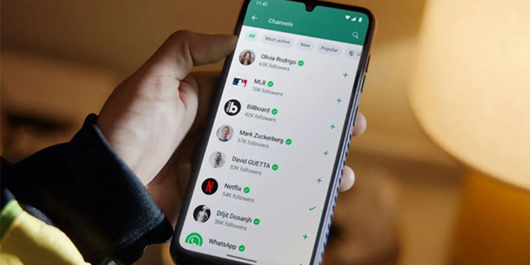 আরও একটি আকর্ষণীয় ফিচার আনছে হোয়াটসঅ্যাপ, যে সুবিধা পাবেন