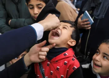 ফিলিস্তিনিদের সুখবর দিল বিশ্ব স্বাস্থ্য সংস্থা