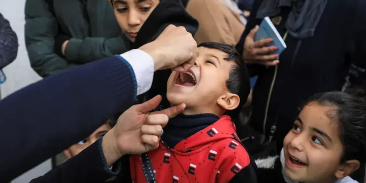 ফিলিস্তিনিদের সুখবর দিল বিশ্ব স্বাস্থ্য সংস্থা