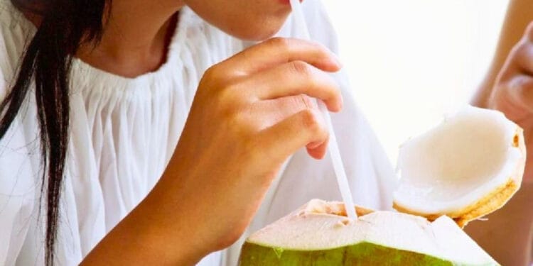 শীতকালে ডাবের পানি খেলে কি ঠাণ্ডা লাগতে পারে?