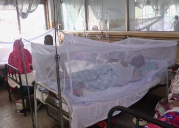 ভয়ংকর ডেঙ্গুতে আরও ৫ মৃত্যু, হাসপাতালে ৪৯০