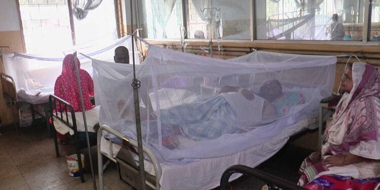 ভয়ংকর ডেঙ্গুতে আরও ৫ মৃত্যু, হাসপাতালে ৪৯০