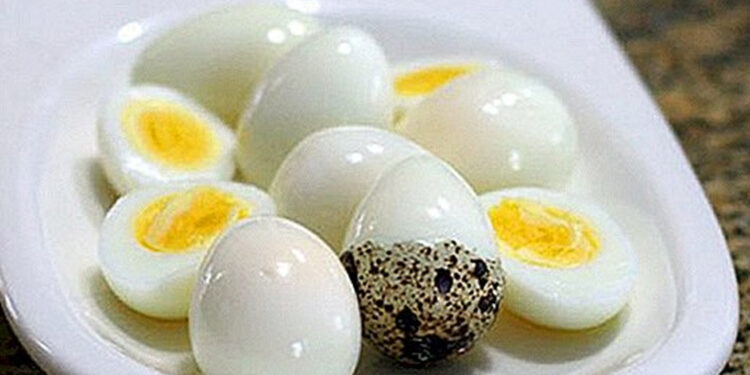 কত বছর বয়সে কয়টি কোয়েলের ডিম খাওয়া নিরাপদ শিশুদের?