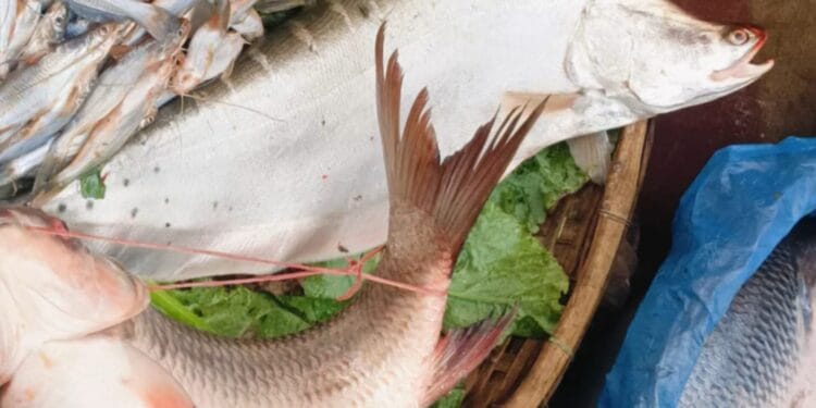 ঢাকার ফুটপাতের মাছের বাজার