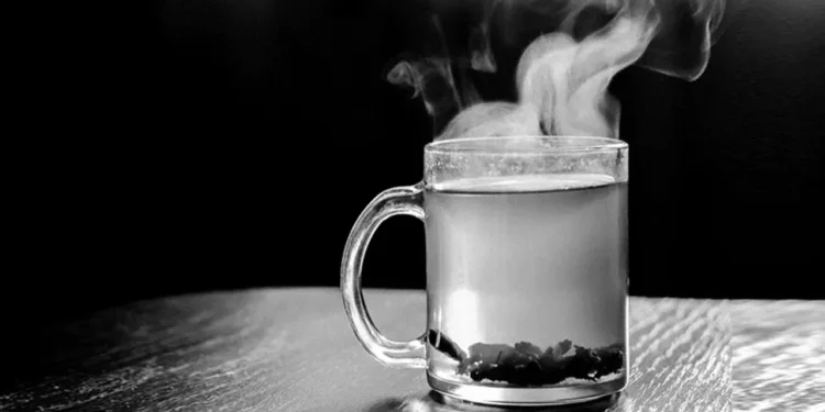 গরম পানি কি সত্যিই হজম ভালো রাখতে সাহায্য করে