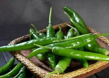 নিয়মিত কাঁচা মরিচ খেলে কী ঘটে শরীরে?