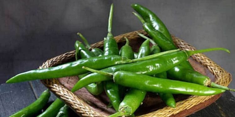 নিয়মিত কাঁচা মরিচ খেলে কী ঘটে শরীরে?