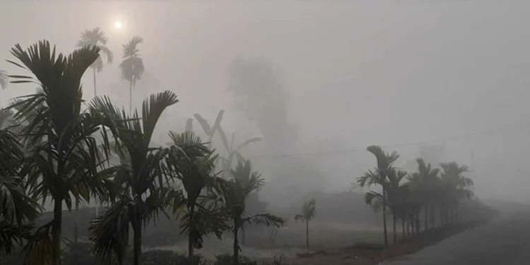 শীত-কুয়াশা নিয়ে আগামী ৫ দিনের পূর্বাভাস