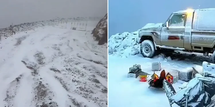 সৌদিতে বিরল তুষারপাত, উৎসবে বাসিন্দারা