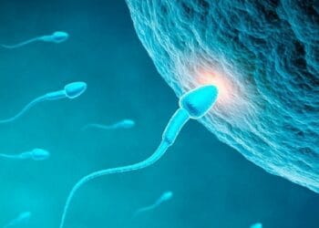 প্রতিদিনের এই ৫ অভ্যাস পুরুষদের শুক্রাণুর সংখ্যা কমিয়ে দেয়