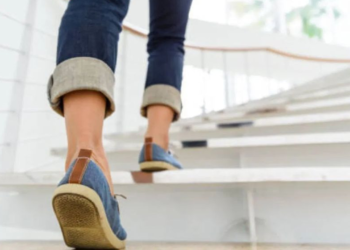 সিঁড়ি দিয়ে টানা ওঠানামা করলে কি কোনও উপকার পাওয়া যায়, জেনে নিন