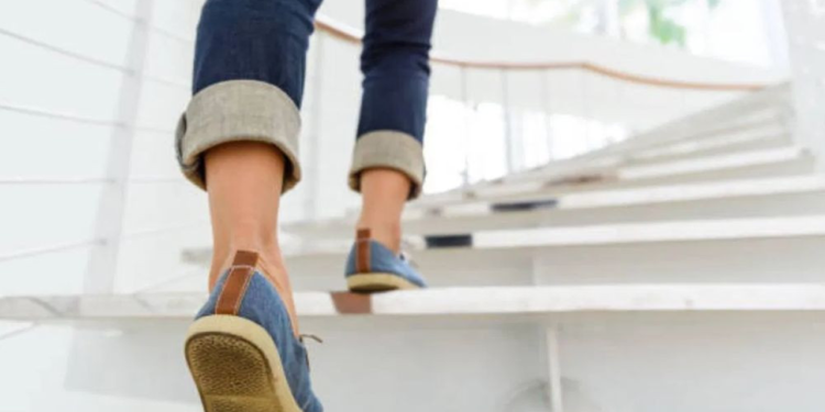 সিঁড়ি দিয়ে টানা ওঠানামা করলে কি কোনও উপকার পাওয়া যায়, জেনে নিন