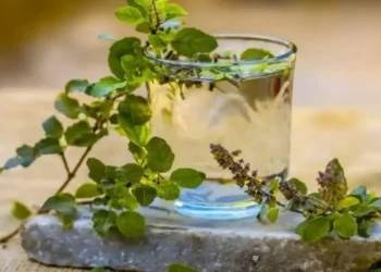 খালি পেটে তুলসী পানির কিছু আশ্চর্যজনক স্বাস্থ্য উপকারিতা