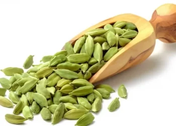 ব্লাড প্রেসার নিয়ন্ত্রণে রাখবে এলাচ