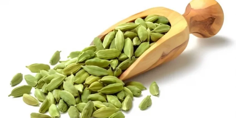 ব্লাড প্রেসার নিয়ন্ত্রণে রাখবে এলাচ