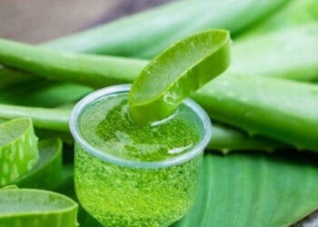 চোখের নিচে অ্যালোভেরা জেল মাখলে কী উপকার?