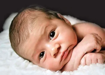 বাংলাদেশে কেন অনেক মানুষের জন্ম ১ জানুয়ারি