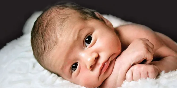 বাংলাদেশে কেন অনেক মানুষের জন্ম ১ জানুয়ারি