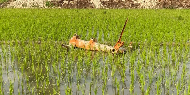 ৮৪ বছর ধরে পড়ে আছে দ্বিতীয় বিশ্বযুদ্ধের যুদ্ধবিমানের ধ্বংসাবশেষ