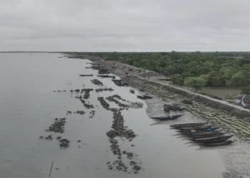 সুন্দরবনে কাঁকড়া আহরণে দুই মাসের নিষেধাজ্ঞা