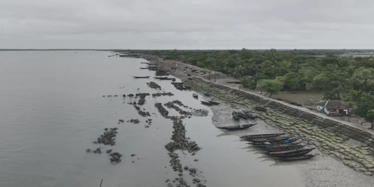 সুন্দরবনে কাঁকড়া আহরণে দুই মাসের নিষেধাজ্ঞা