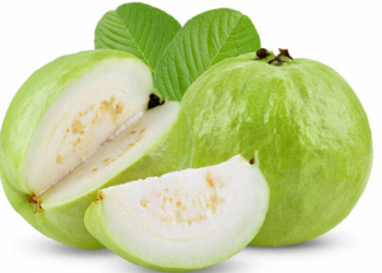 পেয়ারা খোসাসহ খাওয়া ভালো নাকি খোসা ছাড়িয়ে, যা বলছেন পুষ্টিবিদ