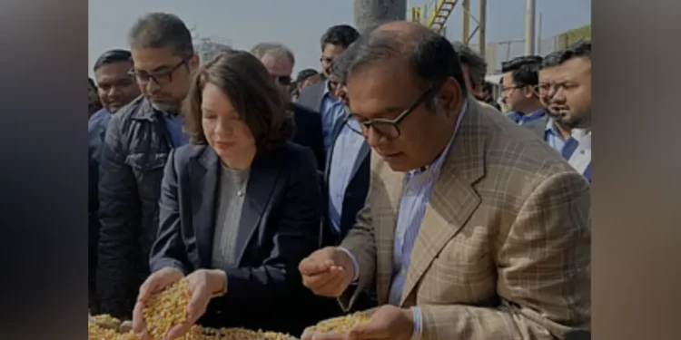 দীর্ঘ আট বছর পর যুক্তরাষ্ট্র থেকে ভুট্টার বড় চালান বাংলাদেশে