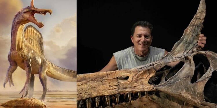 সাহারায় মিলল নতুন প্রজাতির বিশাল ডাইনোসর, নাম ‘স্পিনোসরাস মিরাবিলিস’