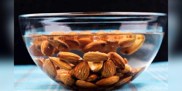 সকালে ভেজানো কাঠবাদাম খেলে কী হয়?
