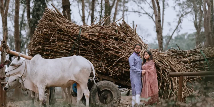 বসন্ত বাতাসে আজ ভালোবাসার দিন