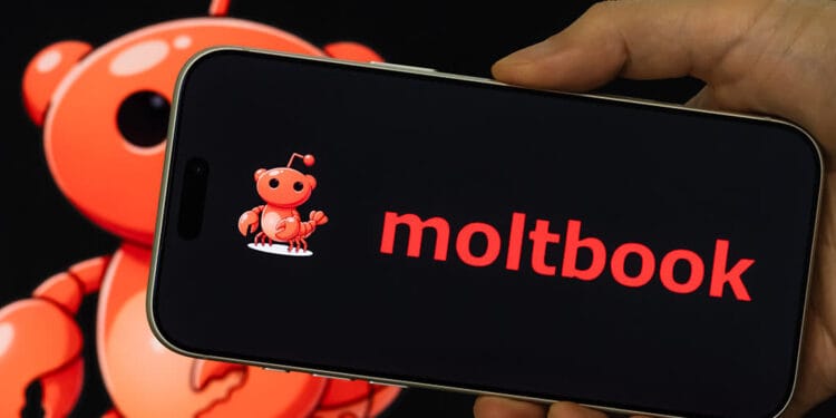 এআই বটদের ‘আলাপের প্ল্যাটফর্ম’ মল্টবুক কিনে নিল মেটা