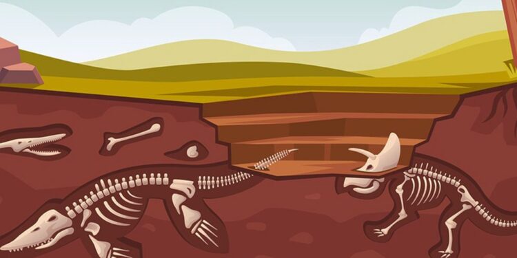 ডাইনোসরের সঙ্গে পেট্রোলিয়াম বা অপরিশোধিত তেলের সম্পর্কটা কী?